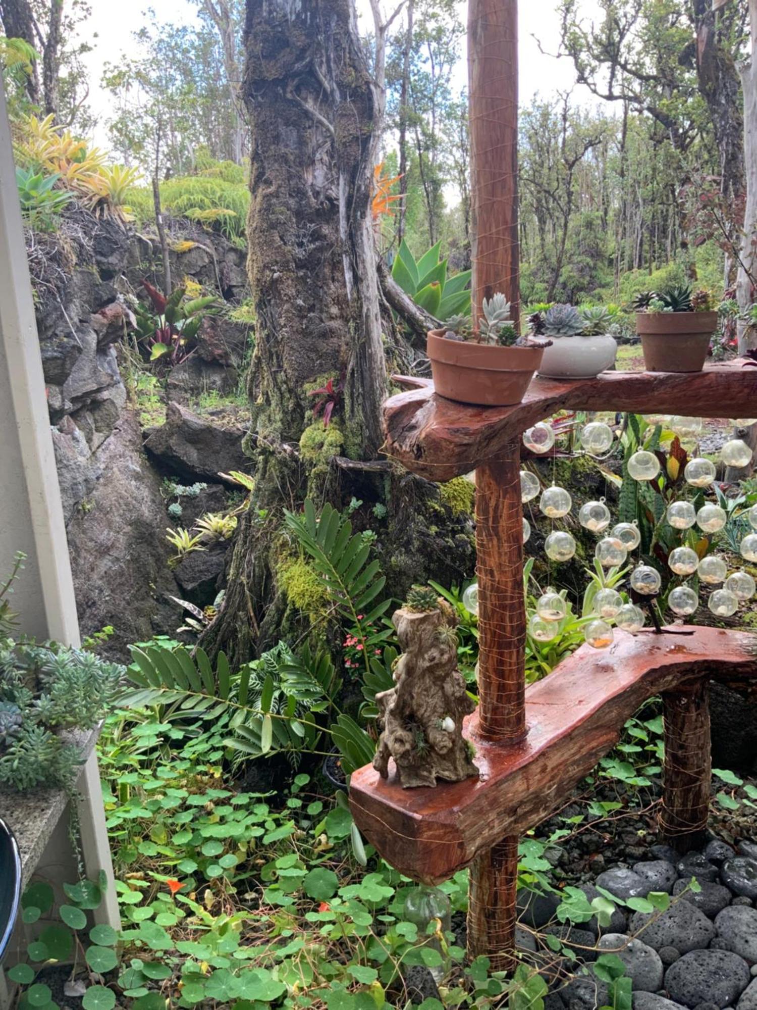 Exotic Garden Cottage At Amazing Volcano Fissure Mountain View Exterior photo