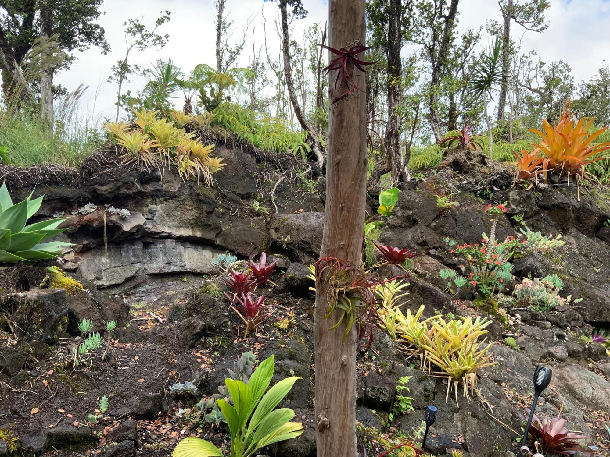 Exotic Garden Cottage At Amazing Volcano Fissure Mountain View Exterior photo