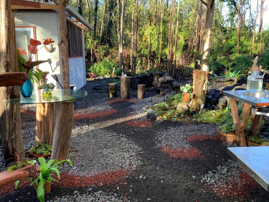 Exotic Garden Cottage At Amazing Volcano Fissure Mountain View Exterior photo