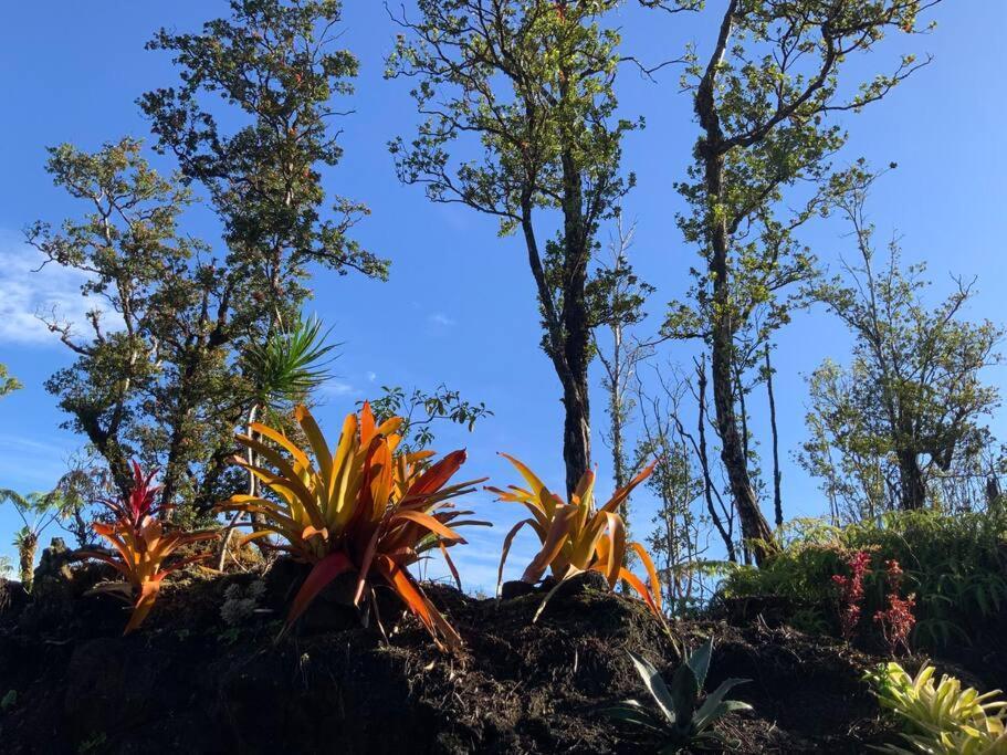 Exotic Garden Cottage At Amazing Volcano Fissure Mountain View Exterior photo