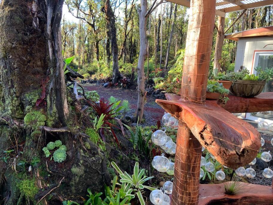 Exotic Garden Cottage At Amazing Volcano Fissure Mountain View Exterior photo