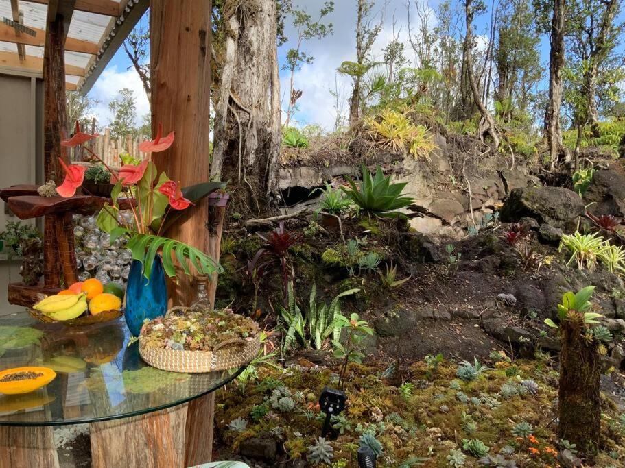 Exotic Garden Cottage At Amazing Volcano Fissure Mountain View Exterior photo